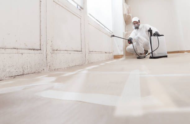 24/7 Emergency Attic Mold Removal experts in Natick, MA